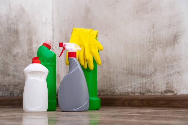 Professional Mold Prevention & Removal  in Stowell, TX